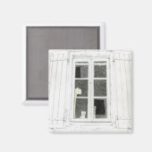 Kat in raammagneet magneet (Voorkant / Achterkant)