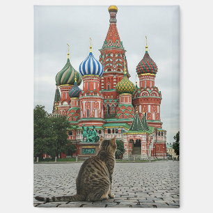 Kat in Rusland Moskou Reizen Magneet