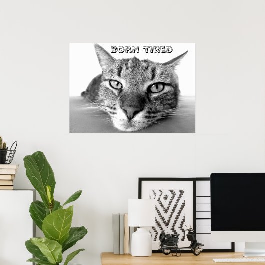 Kat in ruste poster (Thuiskantoor)