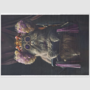 Kat in Salon met Persoonlijkheid Decoupage Tissuepapier