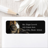 Kat in Sunlight Return Address Labels (Insitu)