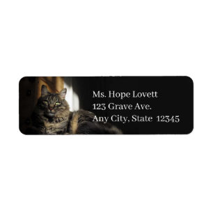 Kat in Sunlight Return Address Labels