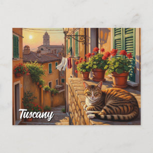Kat in Toscane Italië Briefkaart