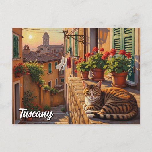 Kat in Toscane Italië Briefkaart (Voorkant)