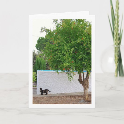 Kat in Tuinportret Kaart (Voorkant)