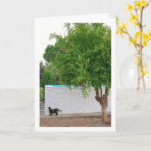 Kat in Tuinportret Kaart (Gele Bloem)