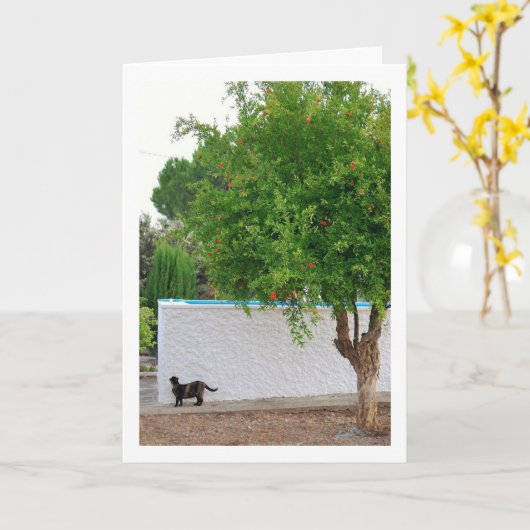 Kat in Tuinportret Kaart (Gele Bloem)