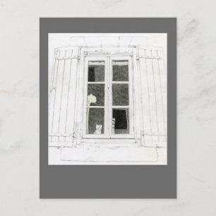 Kat in venster Briefkaart