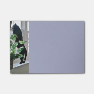 Kat in venster Post-it® notes 4 x 3
