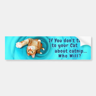 Kat Inspiratie Bumpersticker