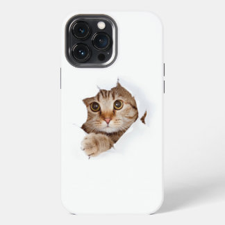 Kat iPhone 13 Pro Max Hoesje