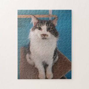 Kat Jigzaag Puzzle Legpuzzel