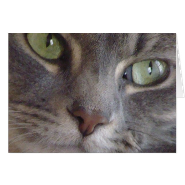 Kat-kaart (Voorkant Horizontaal)