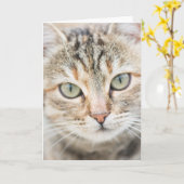 Kat Kaart (Gele Bloem)