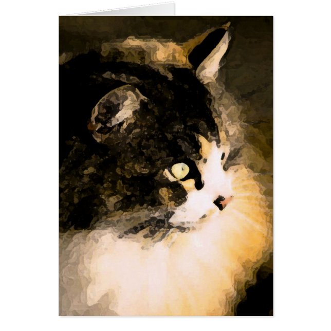 Kat-kaart (Voorkant)