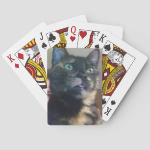 Kat Kaarten