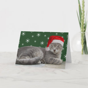 Kat-Kaarten Feestdagen Kaart