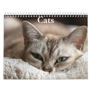 Kat Kalender
