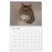 Kat Kalender (Mar 2026)