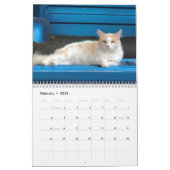 Kat Kalender (Feb 2026)