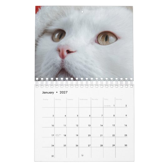 Kat Kalender (Jan 2027)