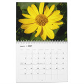 Kat kalender voor 2021 (Mar 2027)