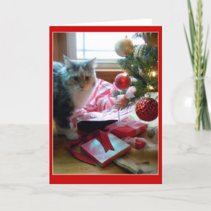 Kat kapot met opening kerstcadeau vroeg feestdagen kaart