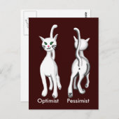 Kat kat briefkaart (Voorkant / Achterkant)