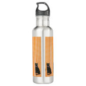 Kat, Kat, Katten kussen Waterfles (Achterkant)