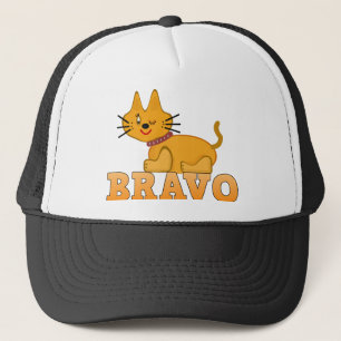 Kat kattedier met een staartstaartstang dappere br trucker pet