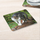 Kat - Katten - Onderzetter van de Drink (Schuin)