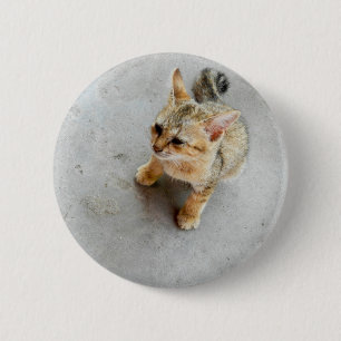 Kat-kattenkattenkatje Ronde Button 5,7 Cm
