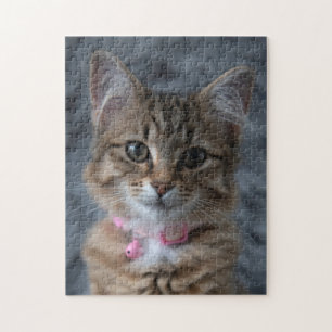 Kat-kattenportret, 252 stukken puzzel