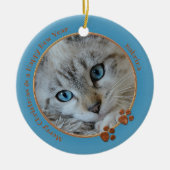Kat Keepasblauw kerstfoto Ornament (Voorkant)