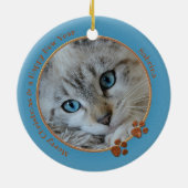 Kat Keepasblauw kerstfoto Ornament (Achterkant)