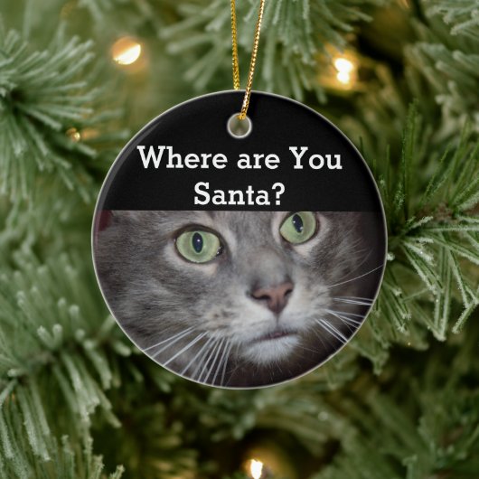 Kat Keramisch Ornament (Boom)