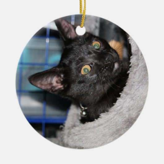 Kat Keramisch Ornament (Voorkant)