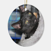 Kat Keramisch Ornament (Links)