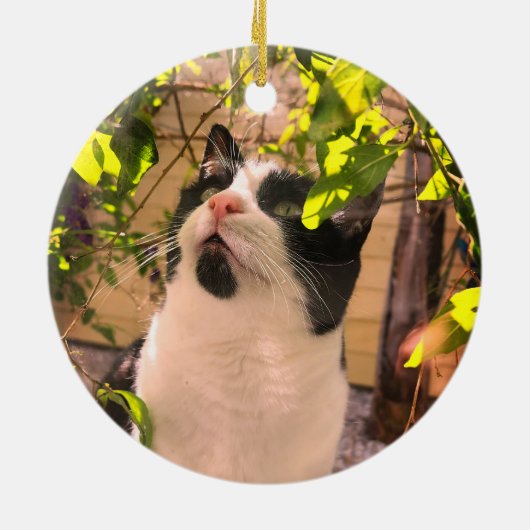 Kat Keramisch Ornament (Achterkant)