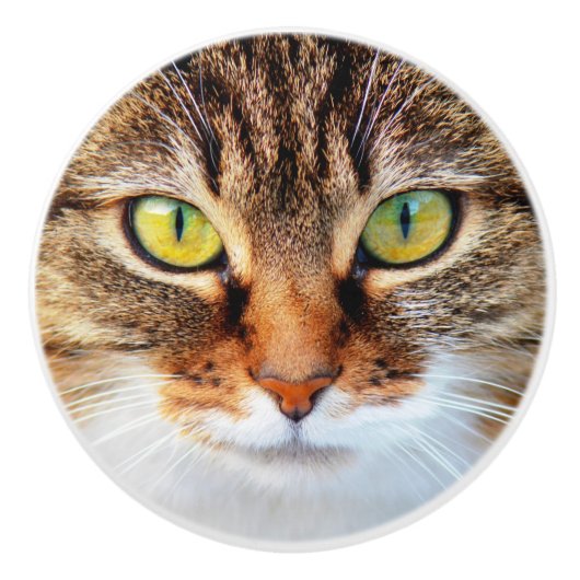 Kat Keramische Knop (Voorkant)