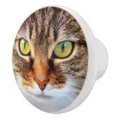 Kat Keramische Knop (Rechts)