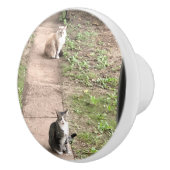 Kat Keramische Knop (Rechts)