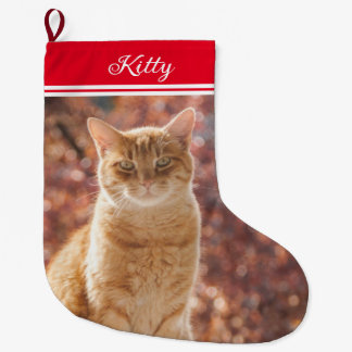 kat-kerstcadeautje Foto klein Grote Kerstsok