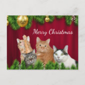 Kat-kerstfeest Feestdagenkaart (Voorkant)