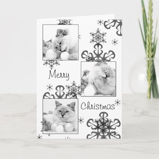 kat kerstkaart feestdagen kaart (Voorkant)