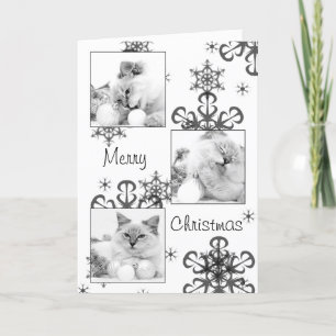 kat kerstkaart feestdagen kaart