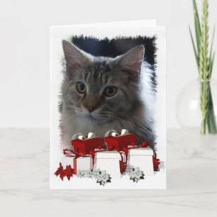 Kat-kerstkaart met Maine Coon Kitten Feestdagen Kaart