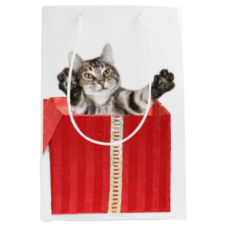 Kat kerstknuffel medium cadeauzakje
