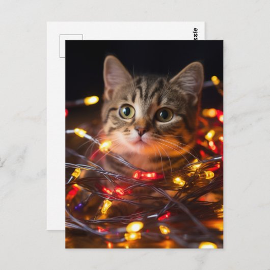 Kat kerstlampjes briefkaart (Voorkant / Achterkant)