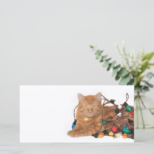 Kat Kerstlicht Tangle Feestdagenkaart (Staand voorkant)